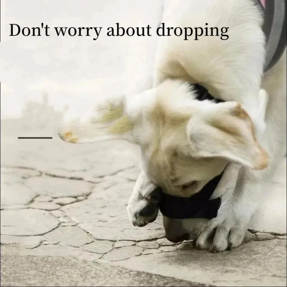 Muselière Respirante pour Grand Chien – Ajustable, Confortable & Anti-Morsure | Sécurité & Entraînement